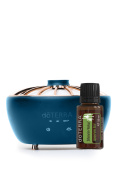 HIKARI DIFFUSER w/ SHINRIN YOKU 15 ml / Набор «Лесной оазис» 