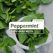 АКЦИЯ ИЮНЯ 2025