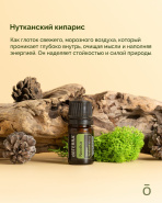 АКЦИЯ НОЯБРЯ 2025